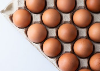 Why Eating More Protein Isn’t Necessarily Good for You