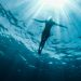 Let ‘A World of Calm’ put you and your COVID-19 stress to bed