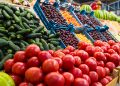 What Is GMO Food and Is It OK to Eat?