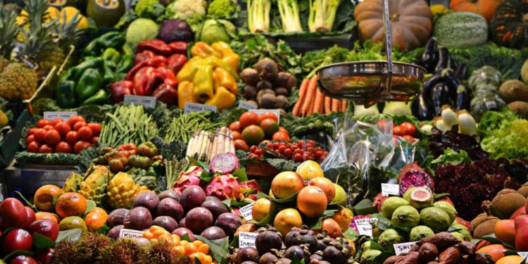 How to Keep Your Immune System Healthy