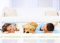 Kids who sleep with their pets still get a good night’s rest! : The Tribune India