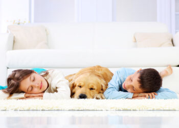 Kids who sleep with their pets still get a good night’s rest! : The Tribune India