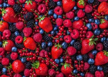 Following the parade of berries this summer