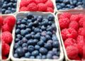 What are the popular Superfoods, their benefits and Risks