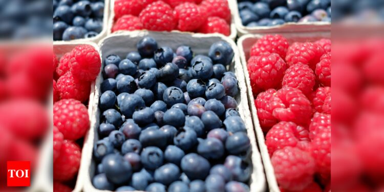 What are the popular Superfoods, their benefits and Risks