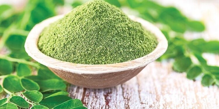 5 amazing benefits of moringa for healthy hair