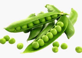 Amazing Health Benefits of Eating Green Peas in Winter