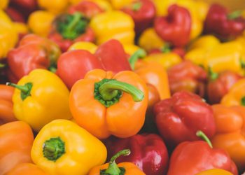 Health Benefits of Bell Pepper