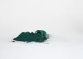 Impressive Chlorella Benefits for Your Body