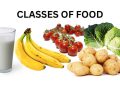 The Different Classes of Food with Examples » PIECE — WITHIN NIGERIA
