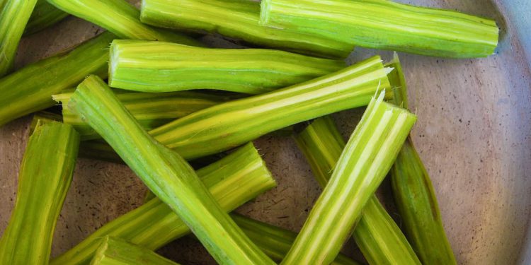 10 surprising health benefits of drumstick