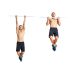 The Best Bodyweight Exercises for Your Back