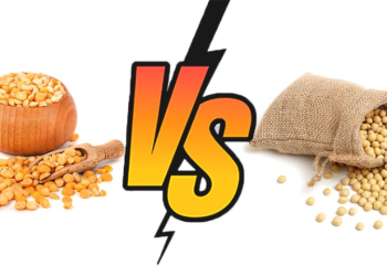 Pea Protein vs Soy Protein: Which Is Better?