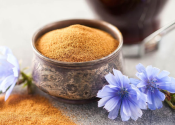 3 Chicory Root Benefits That Might Surprise You
